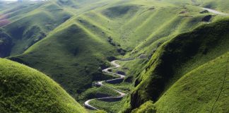 Despre emigrare și înfundăturile ei Emigrarea și înfundăturile ei