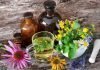 Farmacia Naturii – afacerea românească care vindecă oamenii Farmacia Naturii