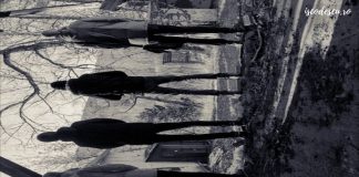 Statu’ paralel Statu paralel