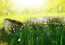 Picături de soare Vitamina D