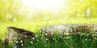 Picături de soare Vitamina D