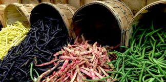 Fasole, fasole, fasole! fasole