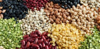 Leguminoase fabuloase Leguminoase