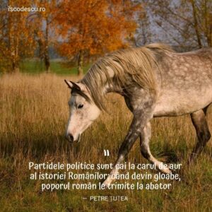 partidele politice